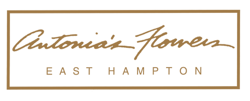 0580eecd-a024-41a6-86c6-